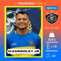 WANDERLEY ALVES DA SILVA JUNIOR