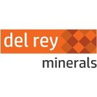 DEL REY MINERALS