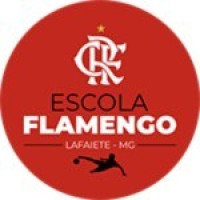 ESCOLA FLAMENGO LAFAIETE S7 B